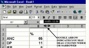 columnsb.jpg (22941 bytes)