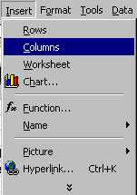 insert1a.jpg (6142 bytes)