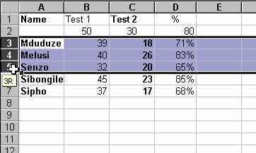 select6a.jpg (14162 bytes)