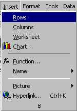 insert1.jpg (5829 bytes)