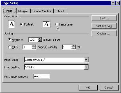 prevpgstp.jpg (33307 bytes)