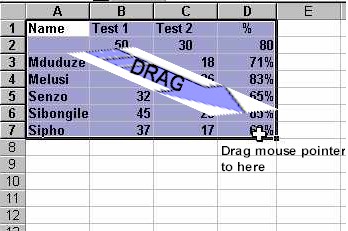 select3.jpg (13523 bytes)