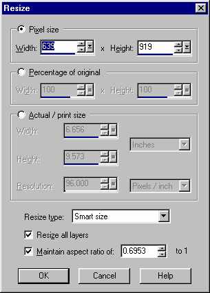 psp17.jpg (20155 bytes)