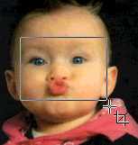 psp31.jpg (3846 bytes)