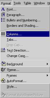 frmtmncol.jpg (10329 bytes)