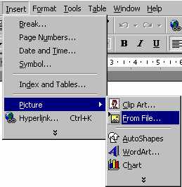 inspic2.jpg (12880 bytes)