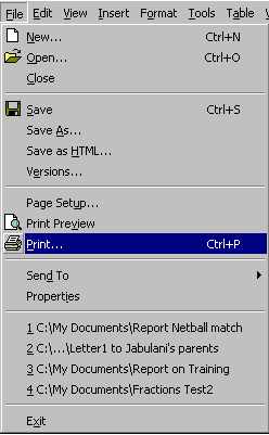 fileprnt.jpg (15236 bytes)
