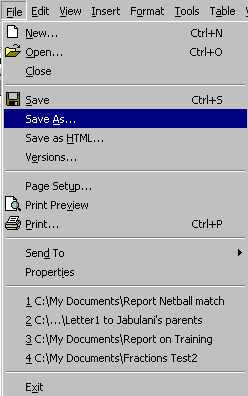 filesavas.jpg (14417 bytes)