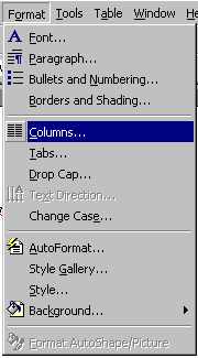 frmtmncol.jpg (10776 bytes)