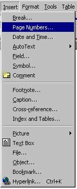 insrtmnpn.jpg (10097 bytes)