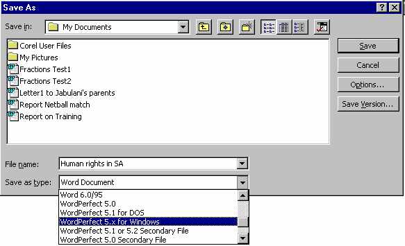 svastypdb.jpg (29543 bytes)